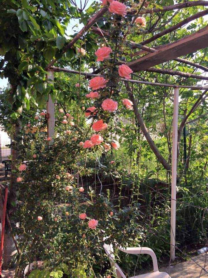 Eyyübiye Ortahemedan Köyü Resimleri 4