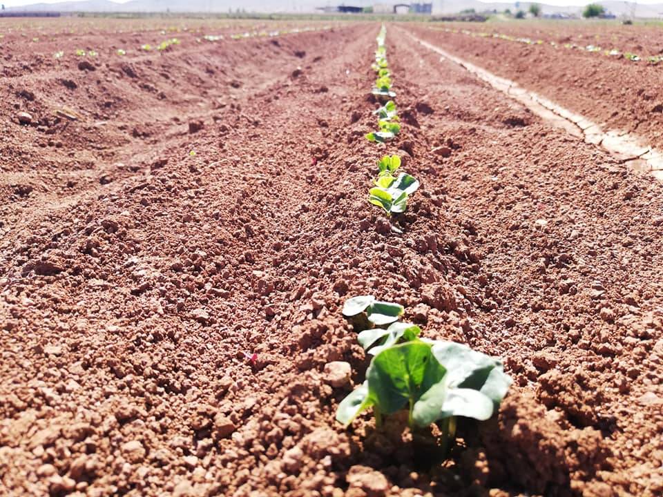 Eyyübiye Ovabeyli Köyü Resimleri 3