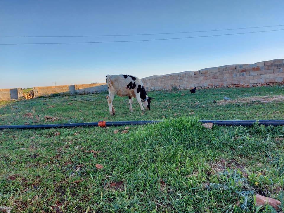 Eyyübiye Ovabeyli Köyü Resimleri 4