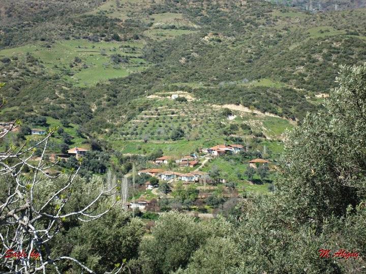 Kiraz Çanakçı Köyü Resimleri 6