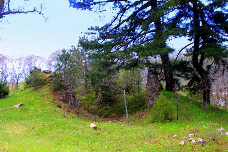 Kiraz Çayağzı Köyü Resimleri 1