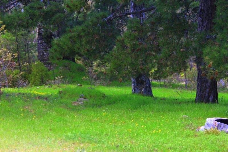 Kiraz Çayağzı Köyü Resimleri 2