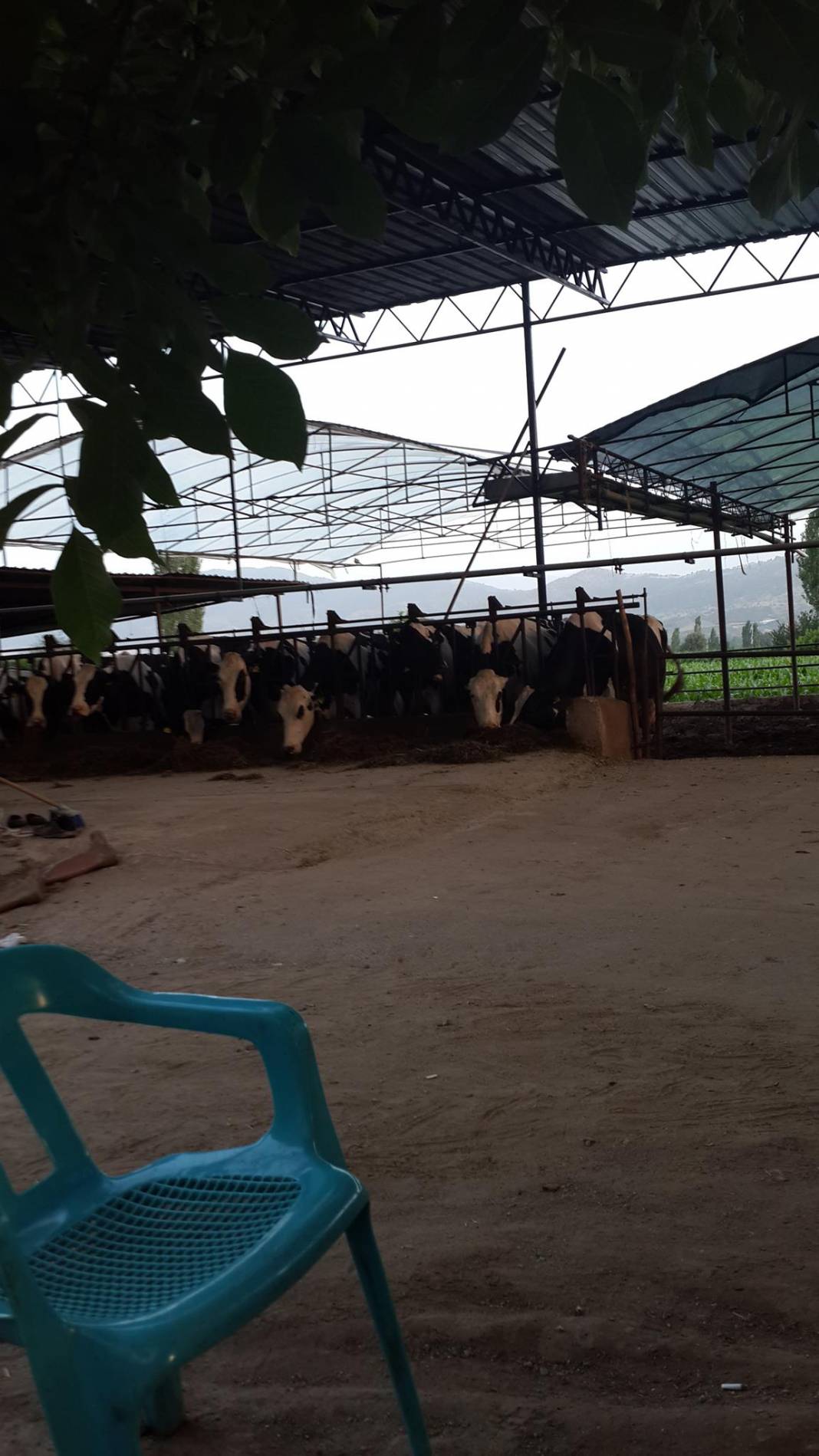 Kiraz Çömlekçi Köyü Resimleri 2