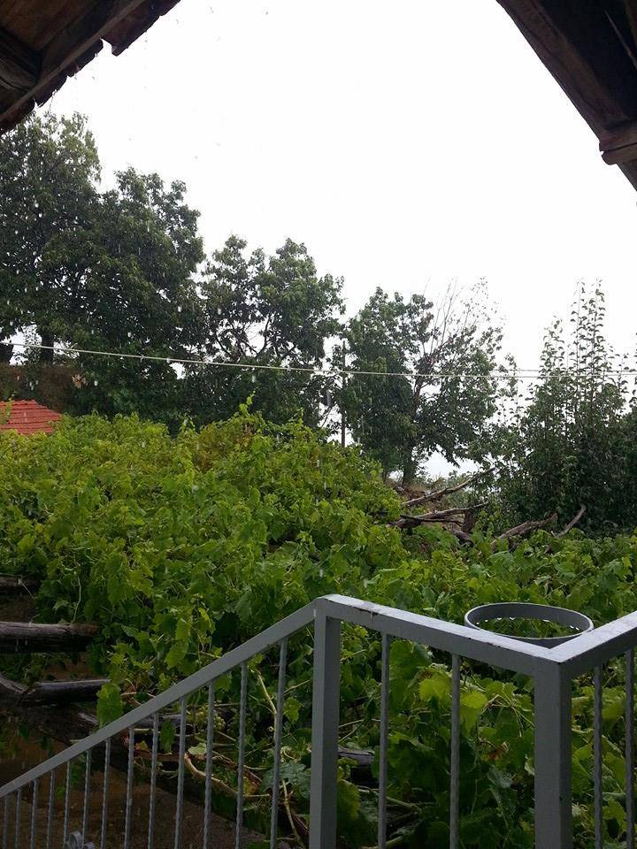 Kiraz Dokuzlar Köyü Resimleri 4