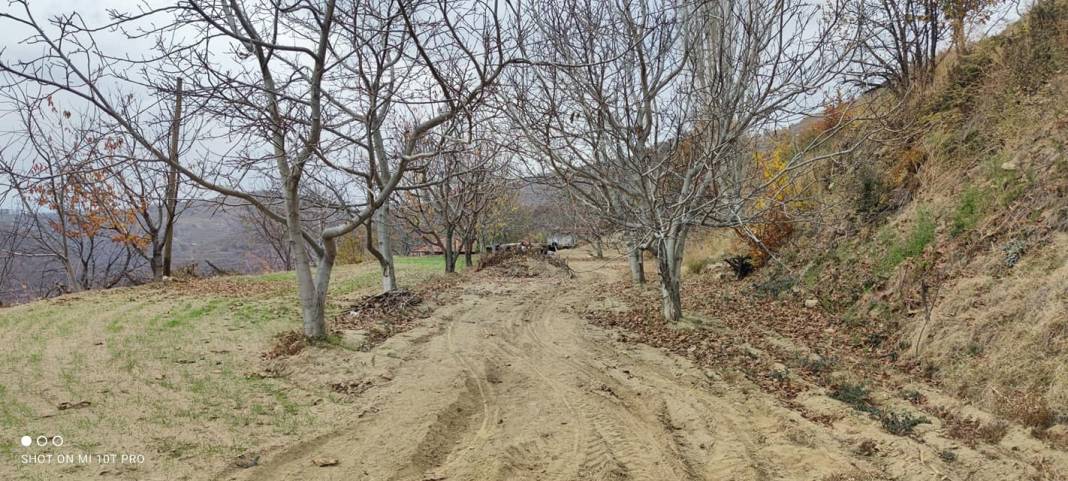 Kiraz Dokuzlar Köyü Resimleri 7