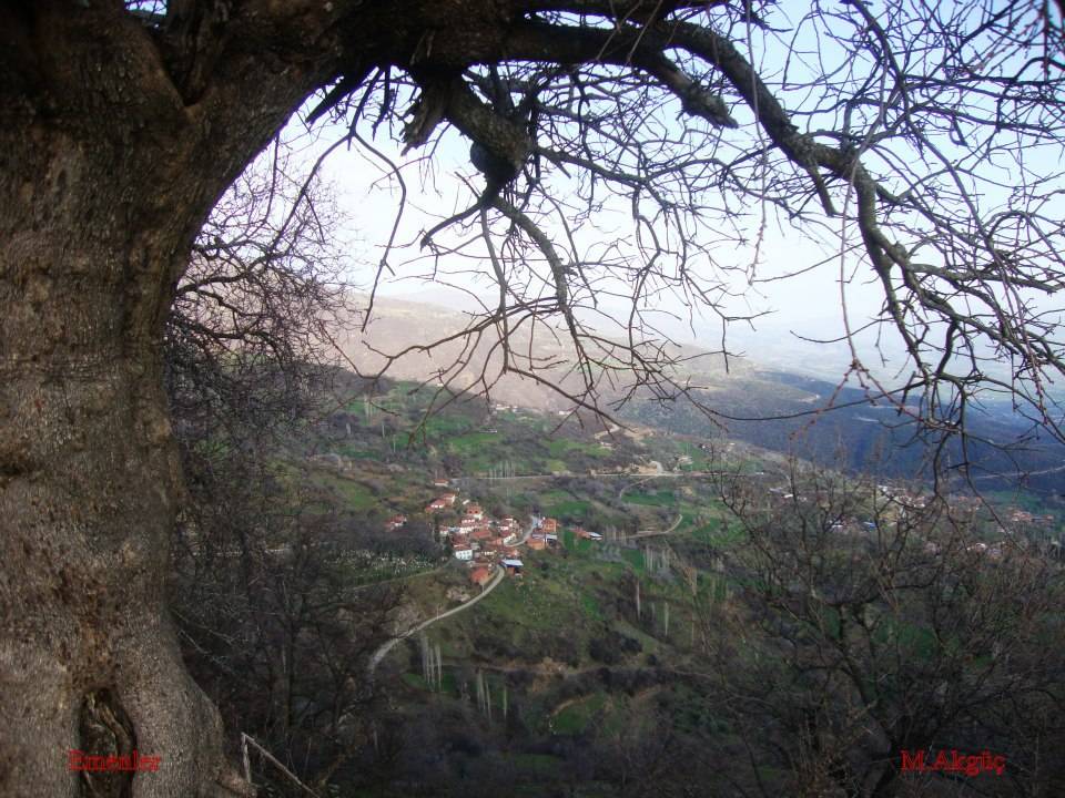 Kiraz Emenler Köyü Resimleri 1