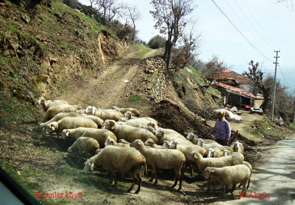 Kiraz Emenler Köyü Resimleri 3