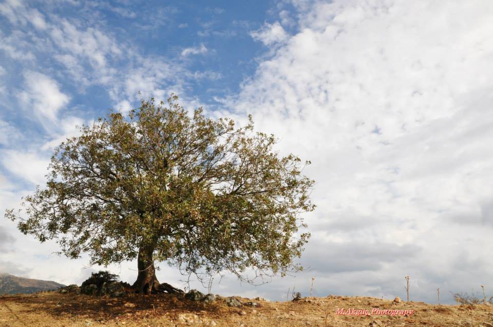 Kiraz Emenler Köyü Resimleri 6