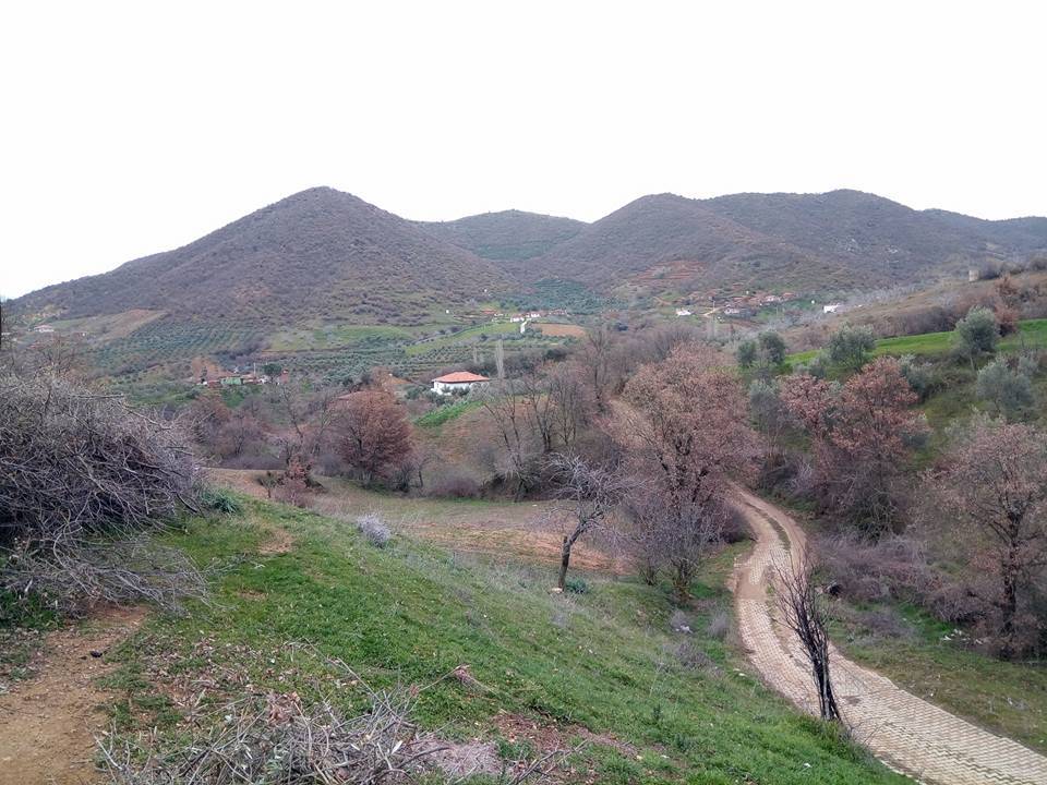 Kiraz Gedik Köyü Resimleri 4