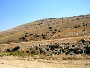 Afyon Dinar Cumhuriyet Köyü Resimleri