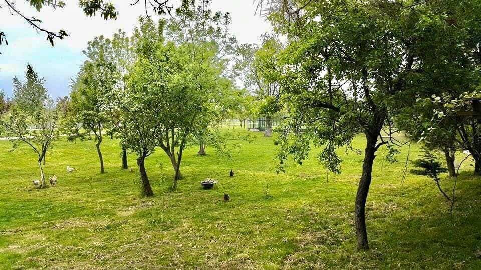 Kiraz Kırköy Köyü Resimleri 1