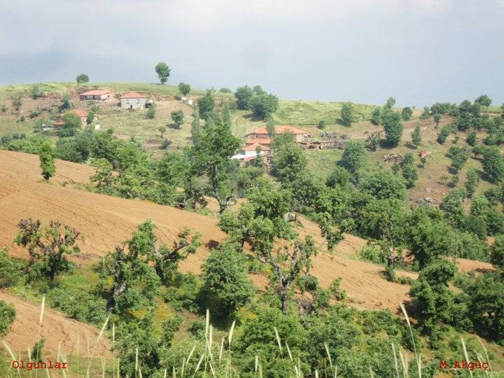 Kiraz Olgunlar Köyü Resimleri 1