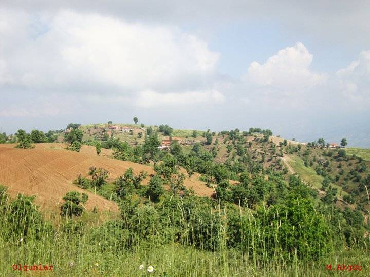 Kiraz Olgunlar Köyü Resimleri 2