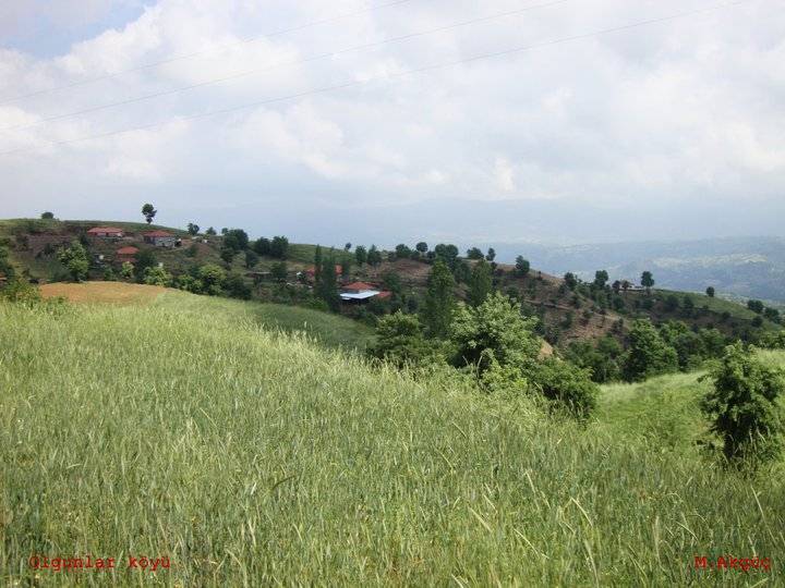 Kiraz Olgunlar Köyü Resimleri 3