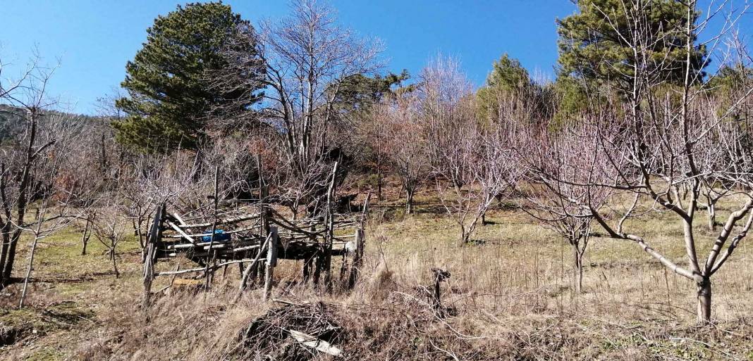 Kiraz Ovacık Köyü Resimleri 1