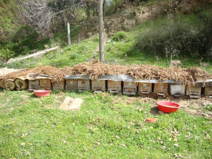 Kiraz Sarıkaya Köyü Resimleri 1