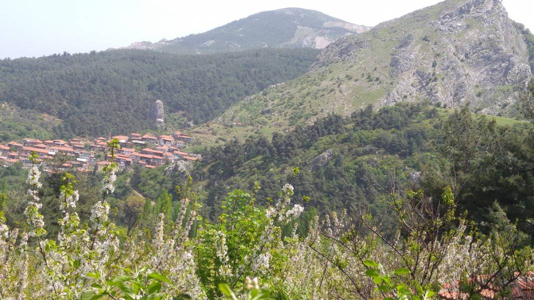 Kiraz Sarıkaya Köyü Resimleri 7