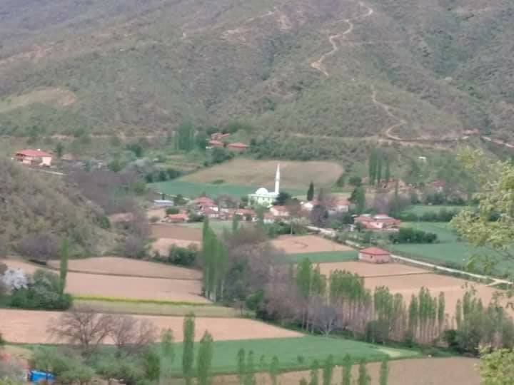 Kiraz Sarısu Köyü Resimleri 10