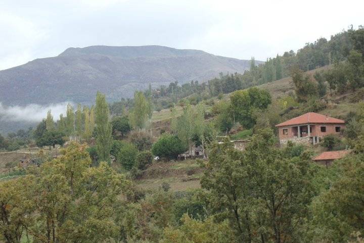 Kiraz Sarısu Köyü Resimleri 11