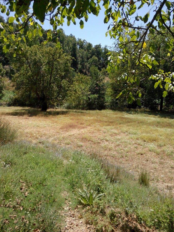 Kiraz Sarısu Köyü Resimleri 7