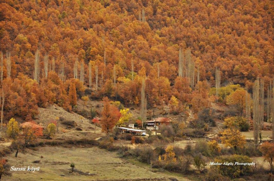 Kiraz Sarısu Köyü Resimleri 8