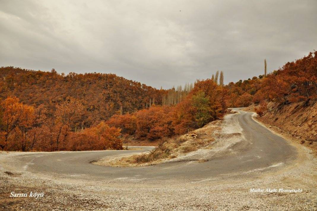 Kiraz Sarısu Köyü Resimleri 9