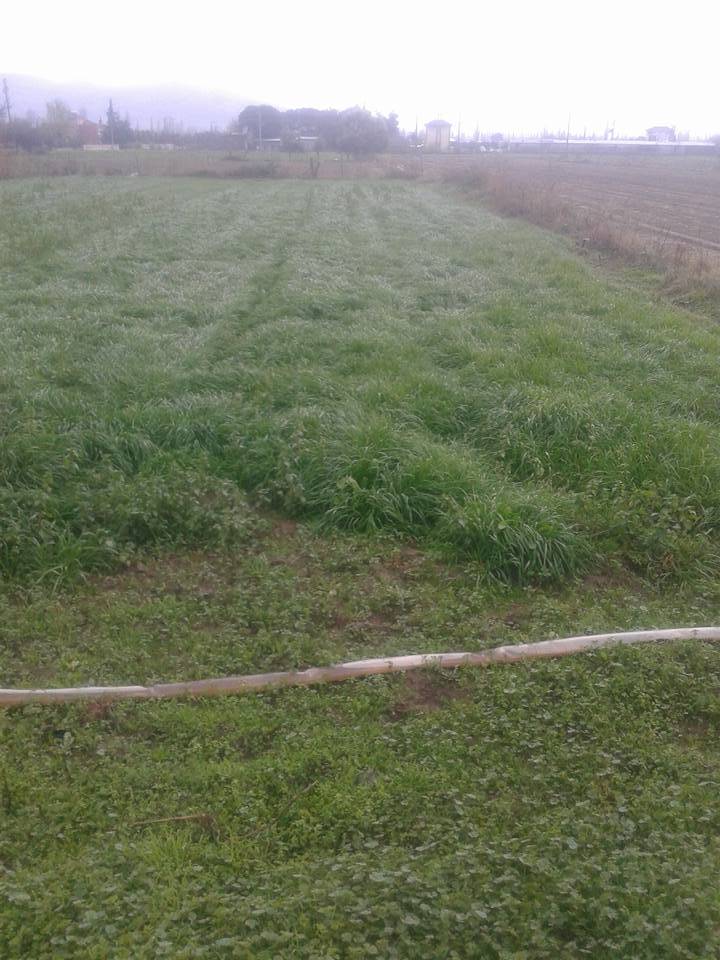 Kiraz Suludere Köyü Resimleri 2