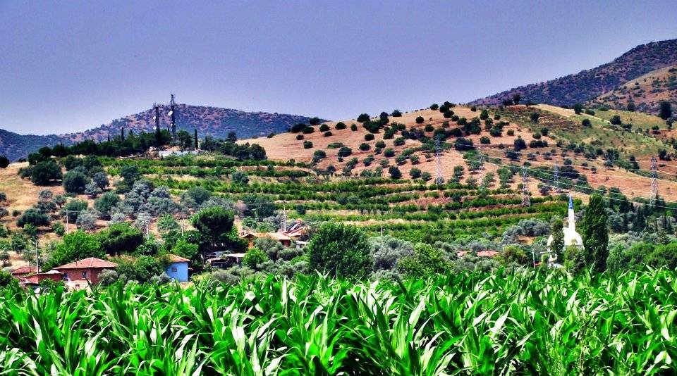 Kiraz Şemsiler Köyü Resimleri 4