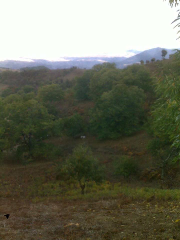 Kiraz Taşlıyatak Köyü Resimleri 7