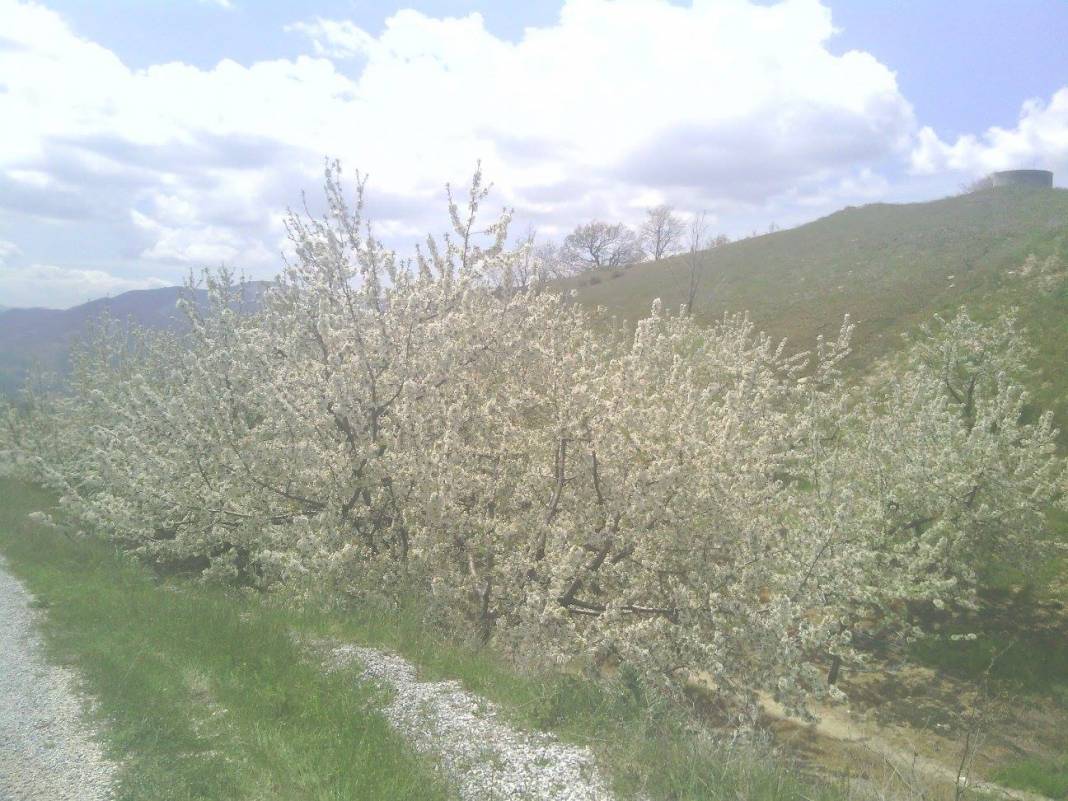 Kiraz Taşlıyatak Köyü Resimleri 8