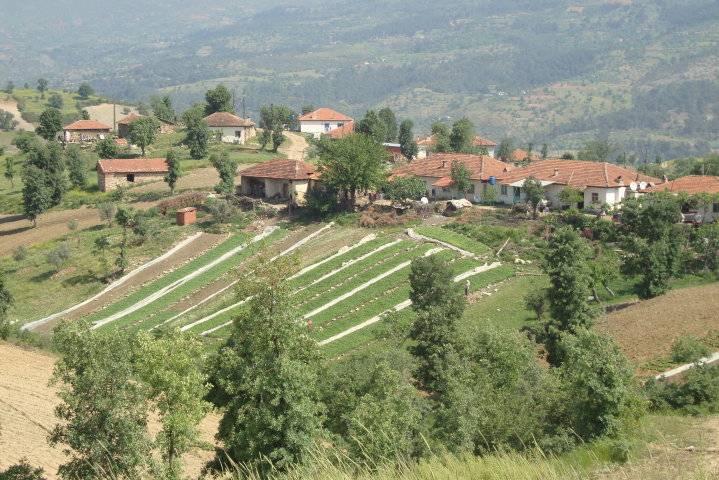 Kiraz Tekbıçaklar Köyü Resimleri 3