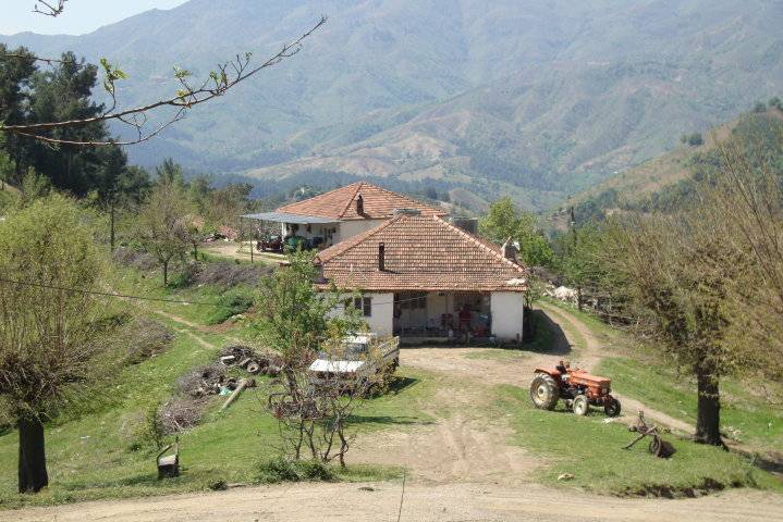 Kiraz Tumbullar Köyü Resimleri 4