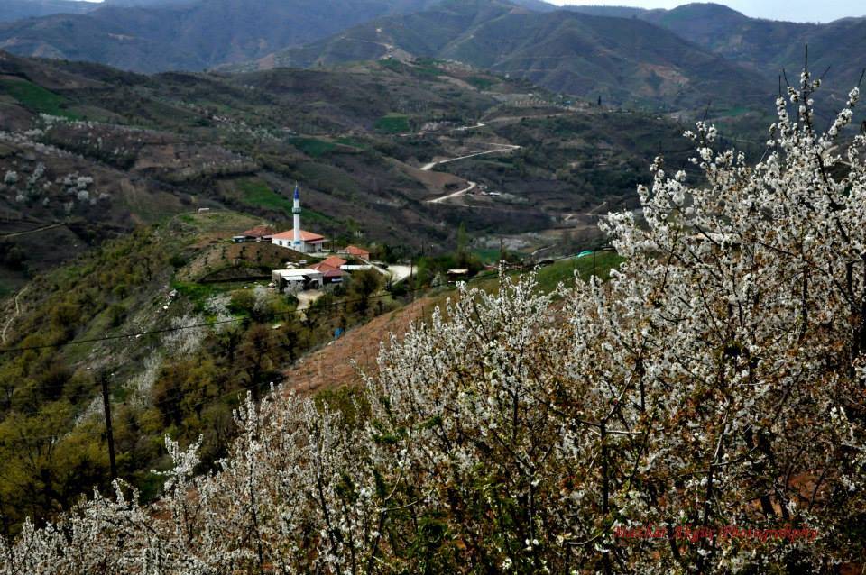 Kiraz Tumbullar Köyü Resimleri 8