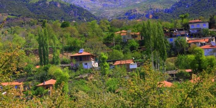 Kiraz Yağlar Köyü Resimleri