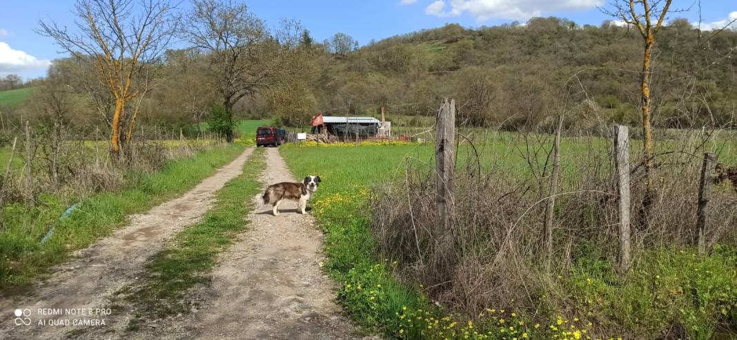 Kiraz Yeni Köyü Resimleri 1