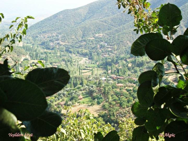 Kiraz Yeşildere Köyü Resimleri 11