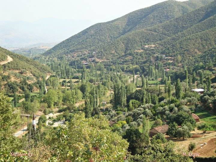 Kiraz Yeşildere Köyü Resimleri 5