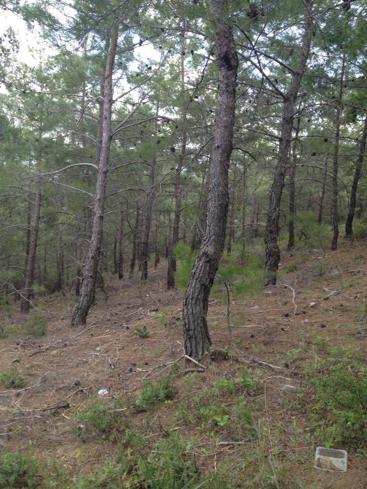 Menderes Ataköy Köyü Resimleri 3
