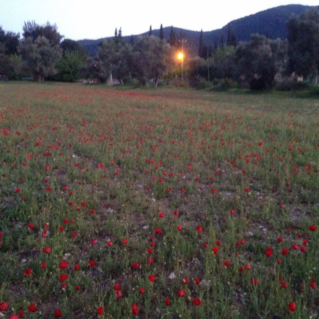 Menderes Ataköy Köyü Resimleri 6