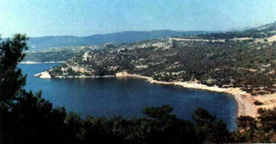 Menderes Cüneytbey Köyü Resimleri 2