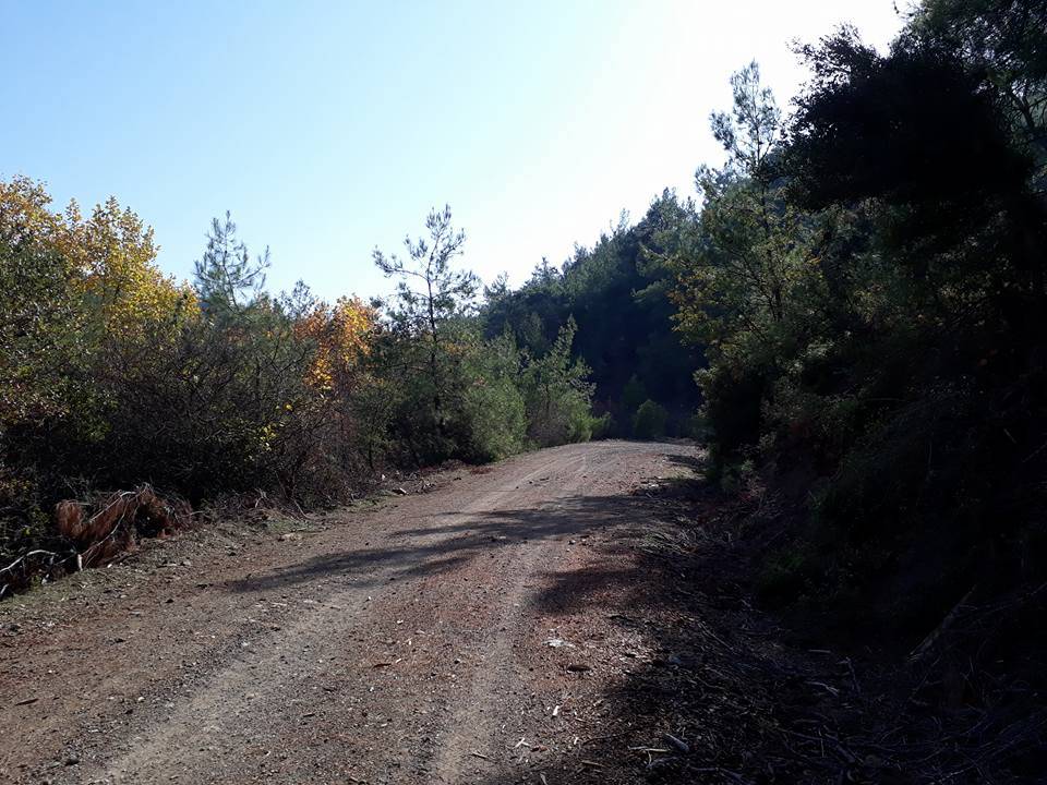 Menderes Çatalca Köyü Resimleri 5