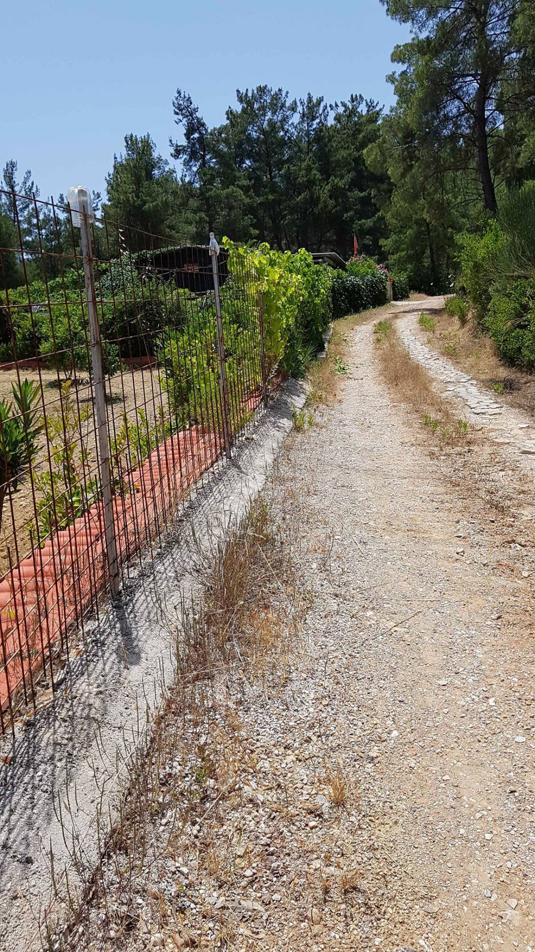 Menderes Keler Köyü Resimleri 5