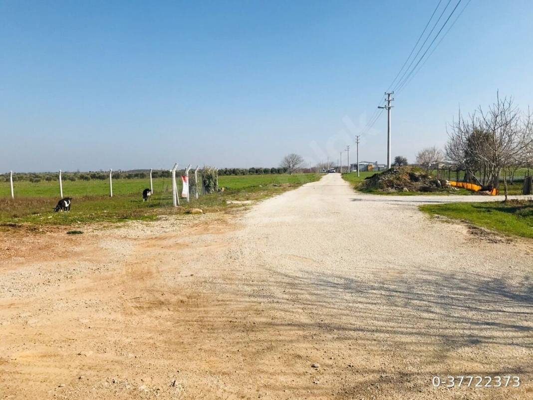 Menderes Oğlananası Atatürk Köyü Resimleri 1