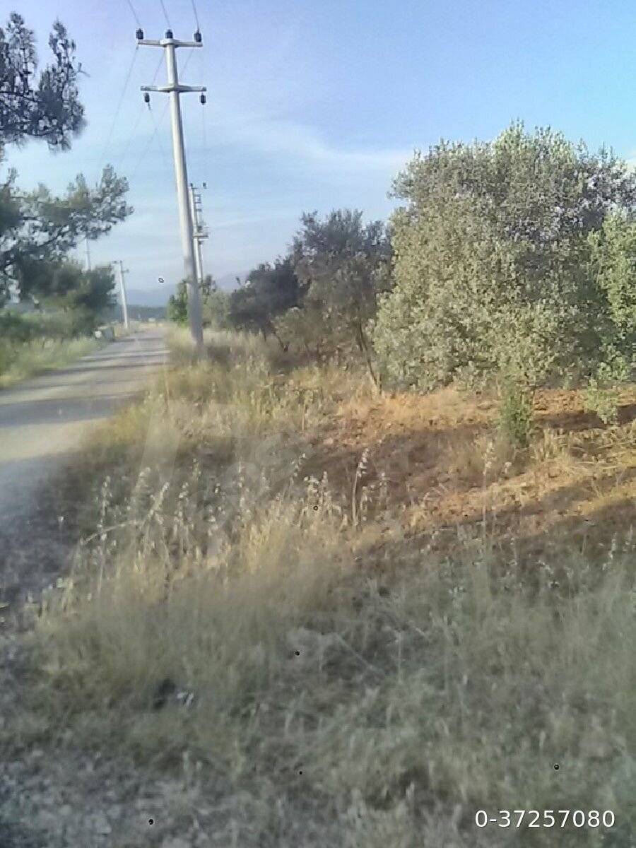 Menderes Oğlananası Atatürk Köyü Resimleri 3