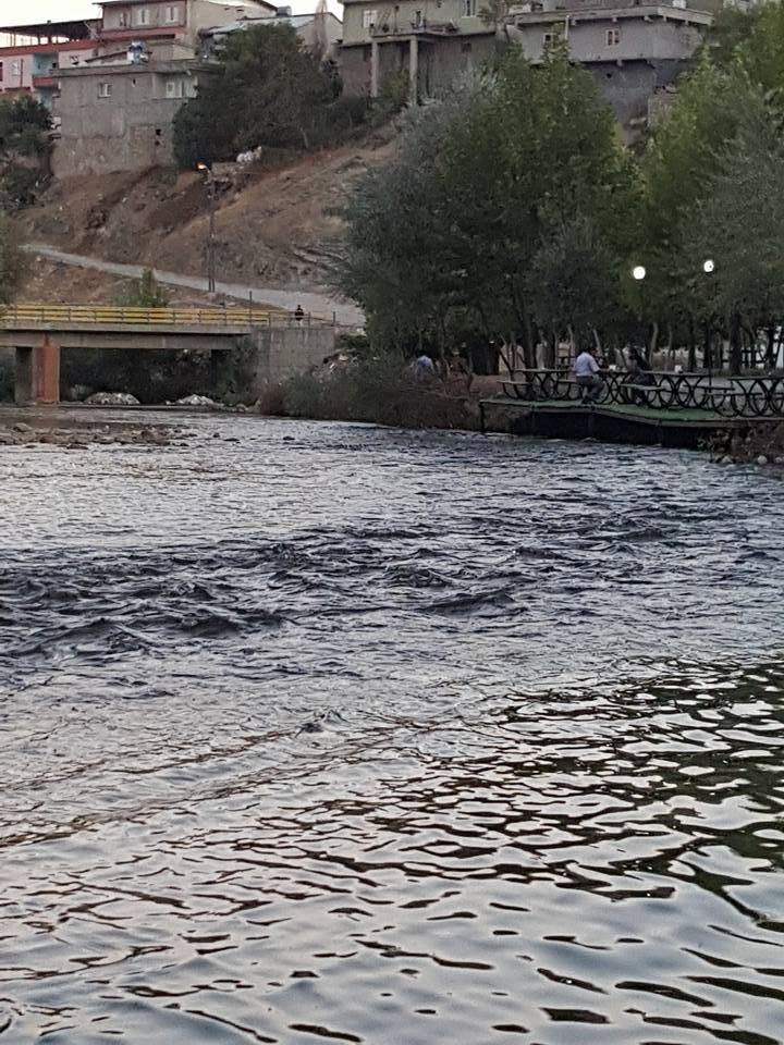 Çağlayancerit Helete Köyü Resimleri, Düzbağ 5