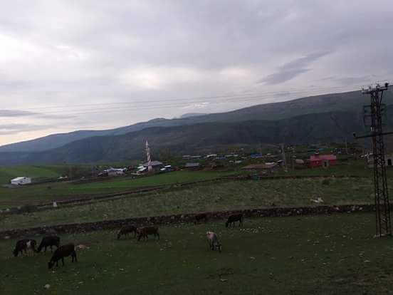 Çıldır Kenardere Köyü Resimleri 7