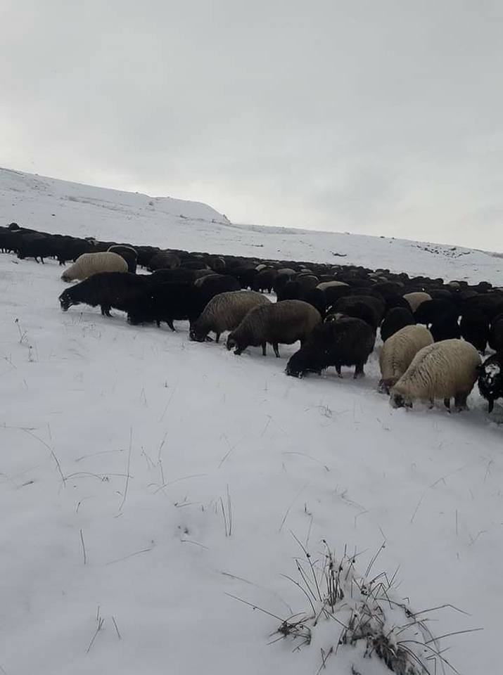 Çıldır Meryemköy Köyü Resimleri 3