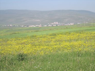 Çıldır Saymalı Köyü Resimleri 10