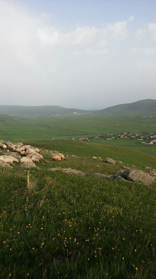 Çıldır Saymalı Köyü Resimleri 7