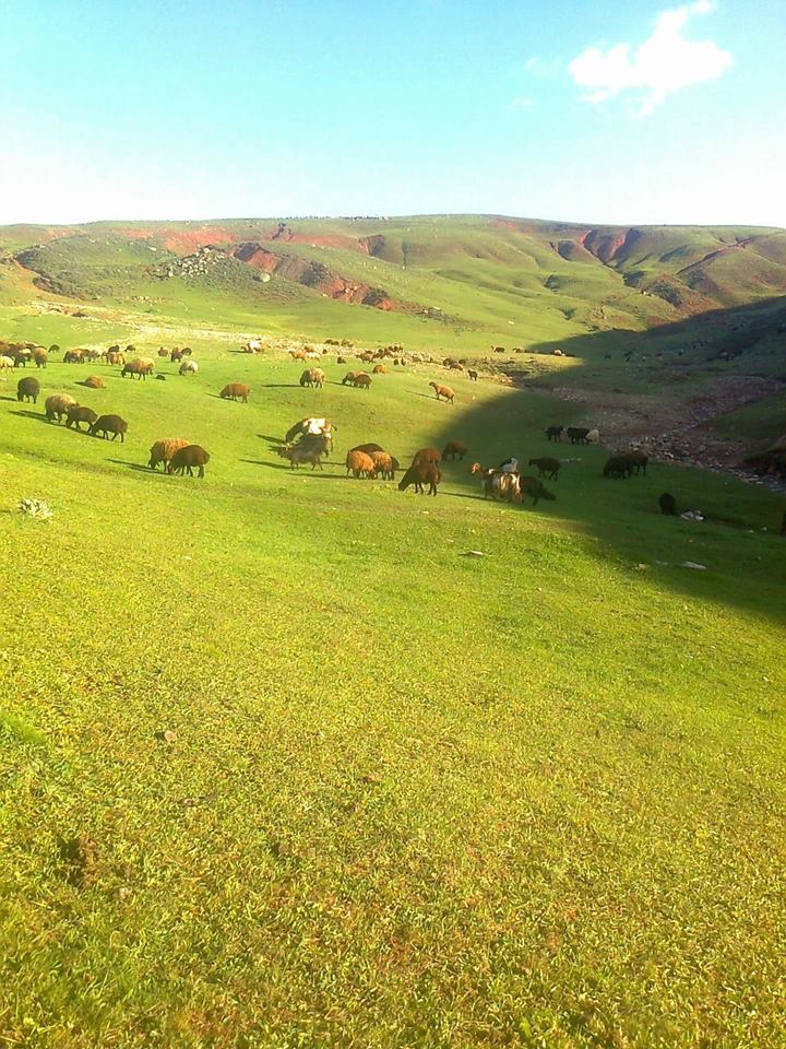 Çat Işkınlı Köyü Resimleri 2